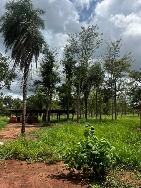 Foto 1 de Fazenda/Sítio à venda, 70000m² em Centro, Bonito