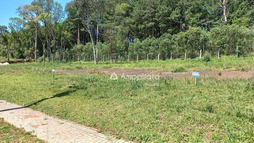 Foto 1 de Lote/Terreno à venda, 384m² em Jardim Daher, Campina Grande do Sul