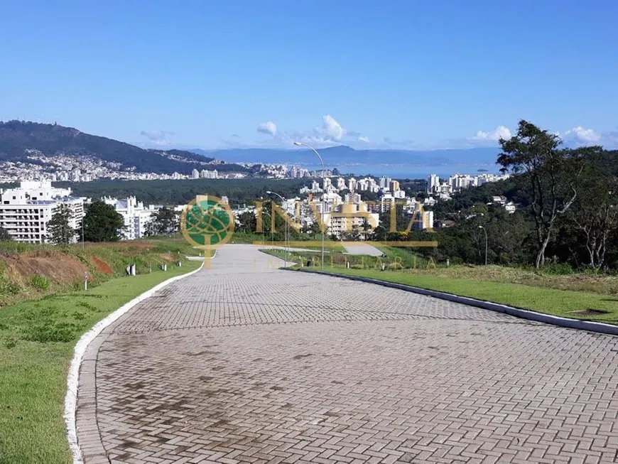 Foto 1 de Lote/Terreno à venda, 490m² em Itacorubi, Florianópolis