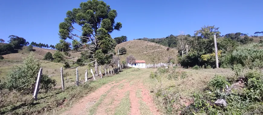 Foto 1 de Fazenda/Sítio à venda, 435000m² em Zona Rural, Delfim Moreira