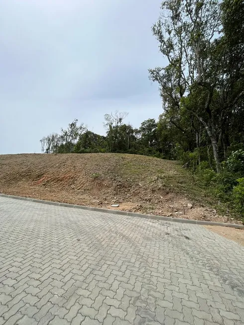 Foto 1 de Lote/Terreno à venda, 402m² em Desvio Rizzo, Caxias do Sul