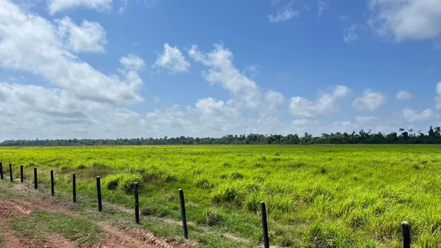 Foto 1 de Fazenda/Sítio com 3 Quartos à venda, 71150000m² em Celio Miranda, Paragominas