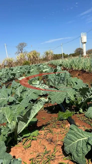 Foto 1 de Fazenda/Sítio com 2 Quartos à venda, 24m² em Sítios Reunidos de Santa Maria, Bauru