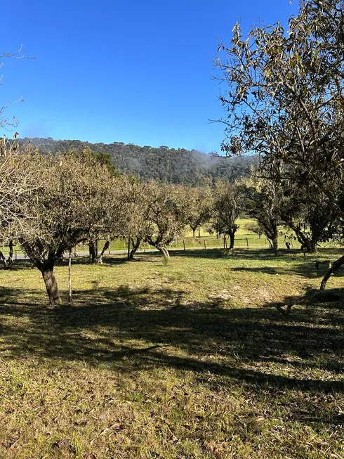 Foto 1 de Lote/Terreno à venda, 20000m² em Aguas Brancas, Urubici