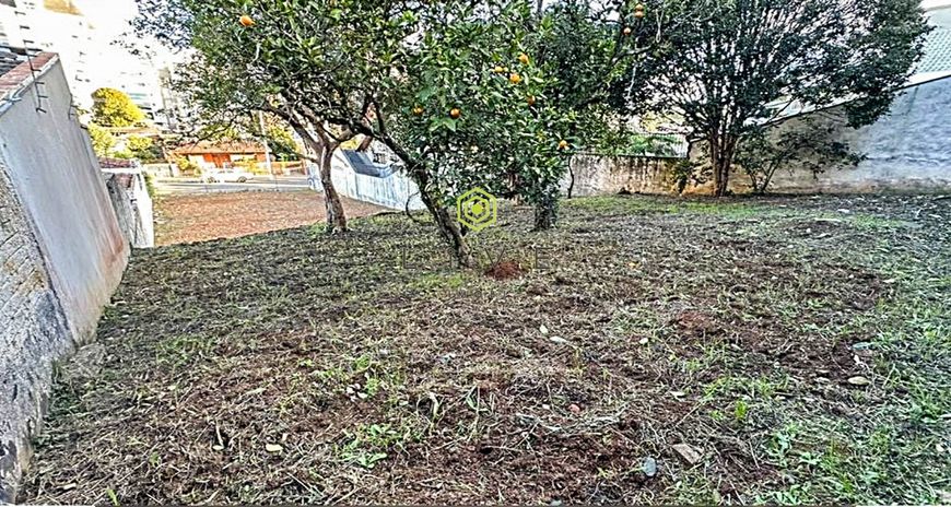 Lote/Terreno na Rua José Sabóia Cortes, 80, Centro Cívico em Curitiba, por  R$ 1.190.000 - Viva Real