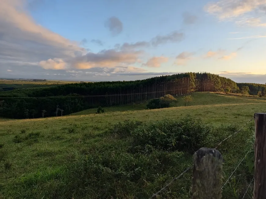 Foto 1 de Fazenda/Sítio com 2 Quartos à venda, 70m² em Zona Rural, São Miguel Arcanjo