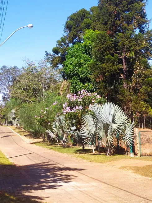 Foto 1 de Fazenda/Sítio à venda, 5000m² em Setor Central, Goiânia