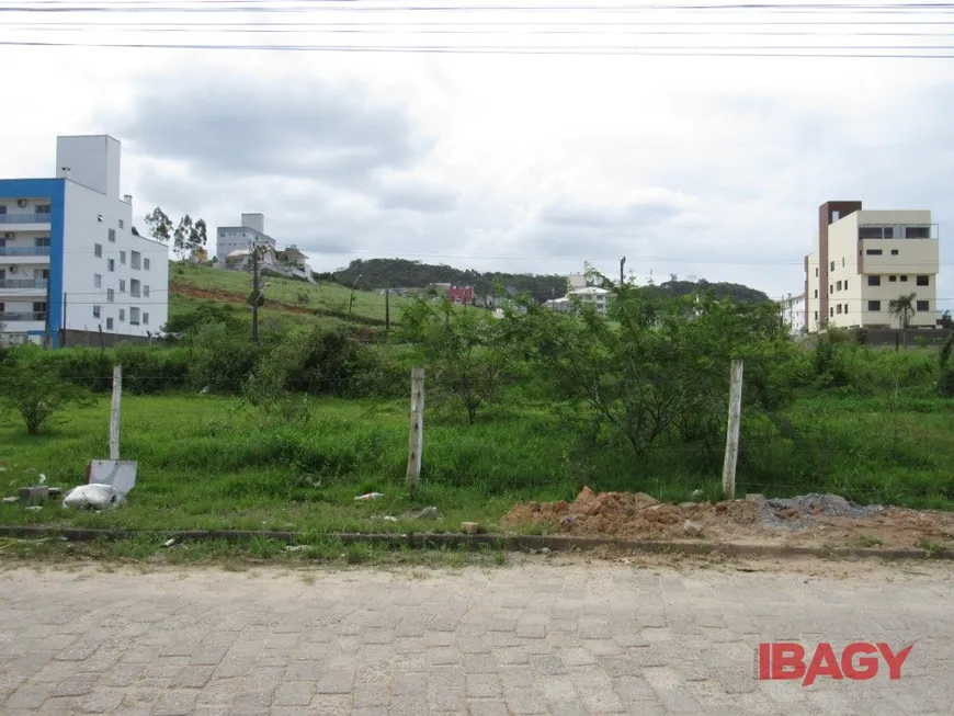 Foto 1 de Lote/Terreno para alugar, 360m² em Areias, São José