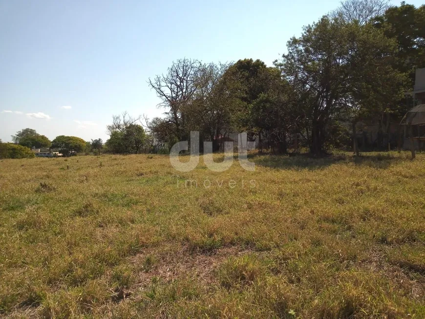 Foto 1 de Lote/Terreno para alugar, 5000m² em Chácaras Alpina, Valinhos