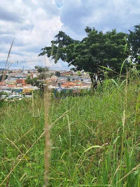 Foto 1 de Lote/Terreno à venda, 186m² em Arvoredo, Contagem