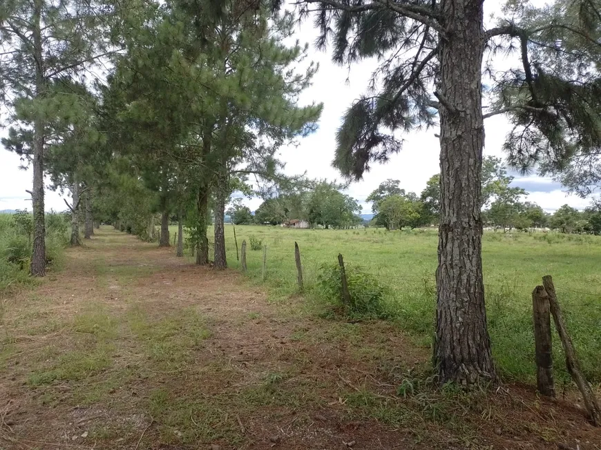 Foto 1 de Fazenda/Sítio com 1 Quarto à venda em Vila Paulista, Taubaté