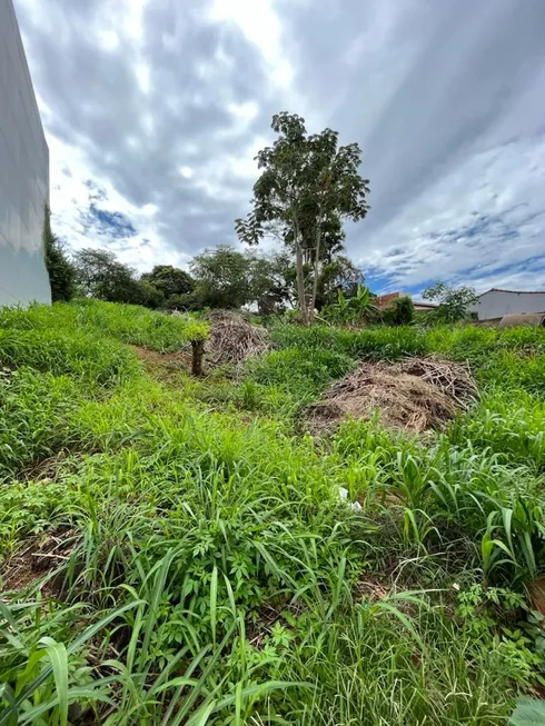 Foto 1 de Lote/Terreno à venda, 2m² em Centro, Rio Verde