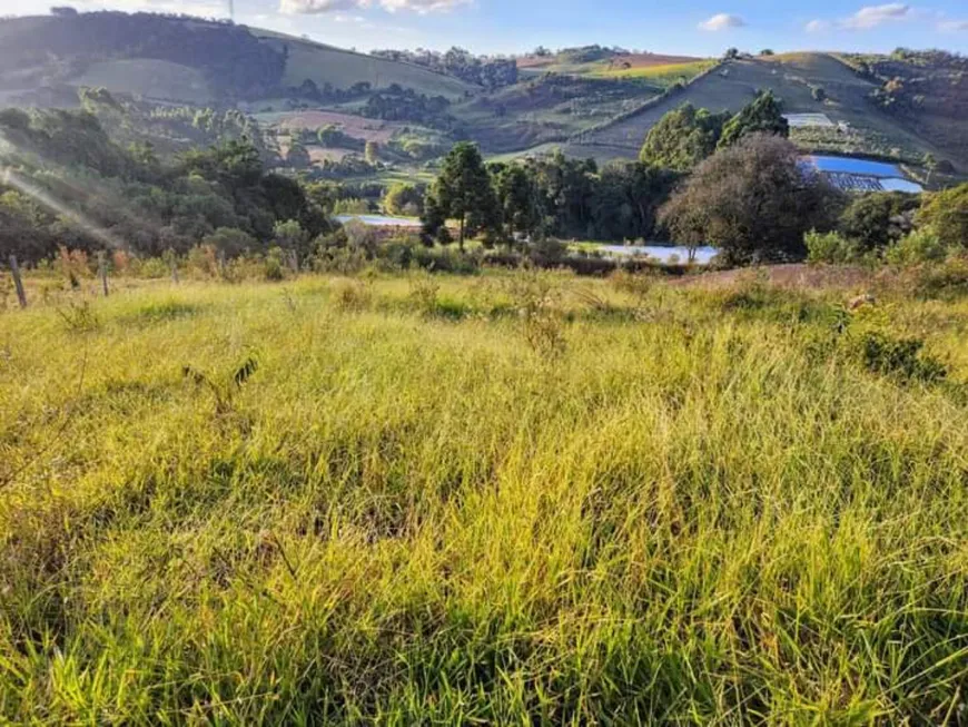 Foto 1 de Lote/Terreno com 1 Quarto à venda, 1500m² em , Senador Amaral