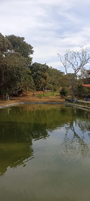 Foto 1 de Fazenda/Sítio com 4 Quartos à venda, 100m² em Zona Rural, Caldazinha