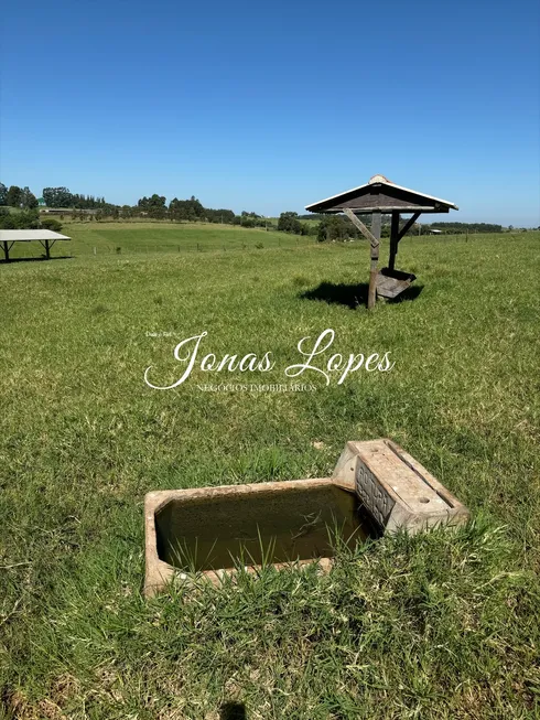 Foto 1 de Fazenda/Sítio com 5 Quartos à venda, 600m² em , Munhoz de Melo