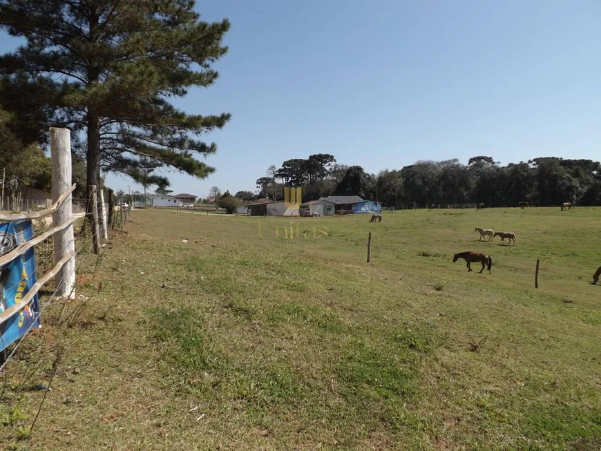 Foto 1 de Lote/Terreno à venda, 10000m² em Colônia Murici, São José dos Pinhais