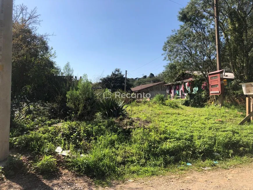 Foto 1 de Lote/Terreno à venda, 1000m² em Santa Terezinha, Canela