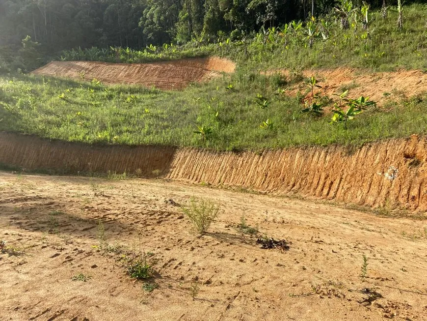 Foto 1 de Fazenda/Sítio à venda, 4500m² em , Marechal Floriano