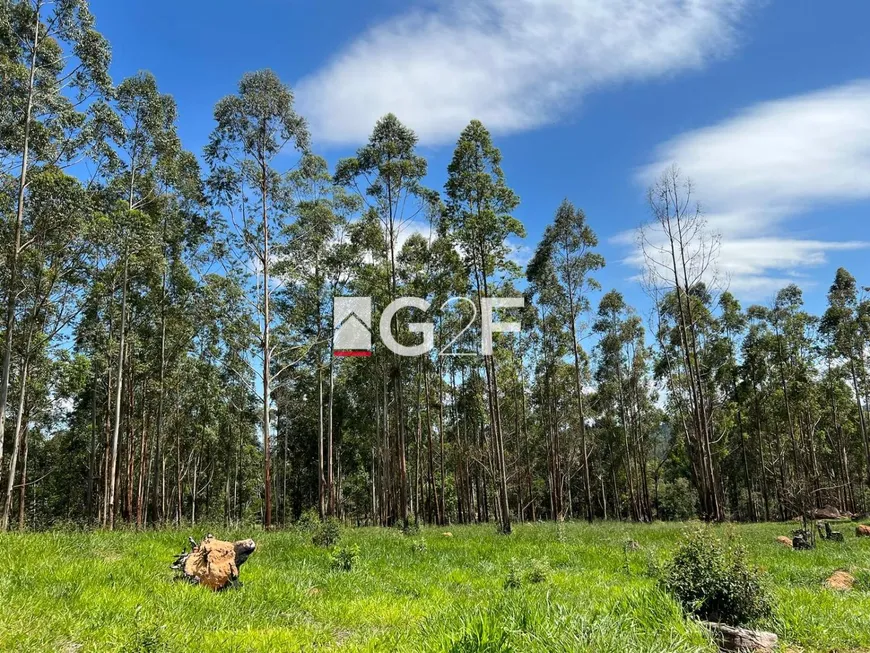 Foto 1 de Lote/Terreno à venda, 20000m² em Sousas, Campinas