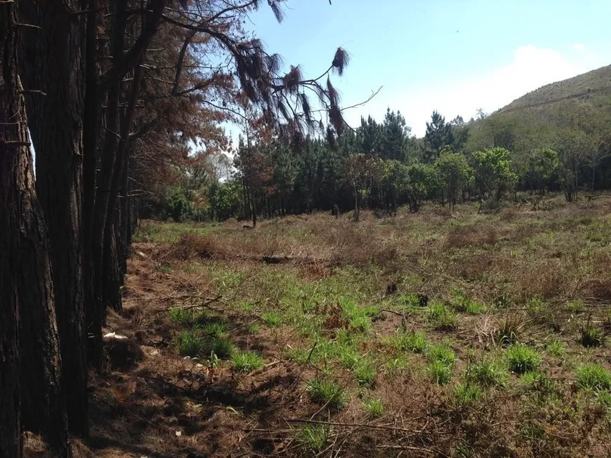 Foto 1 de Lote/Terreno à venda, 30000m² em Cezar de Souza, Mogi das Cruzes