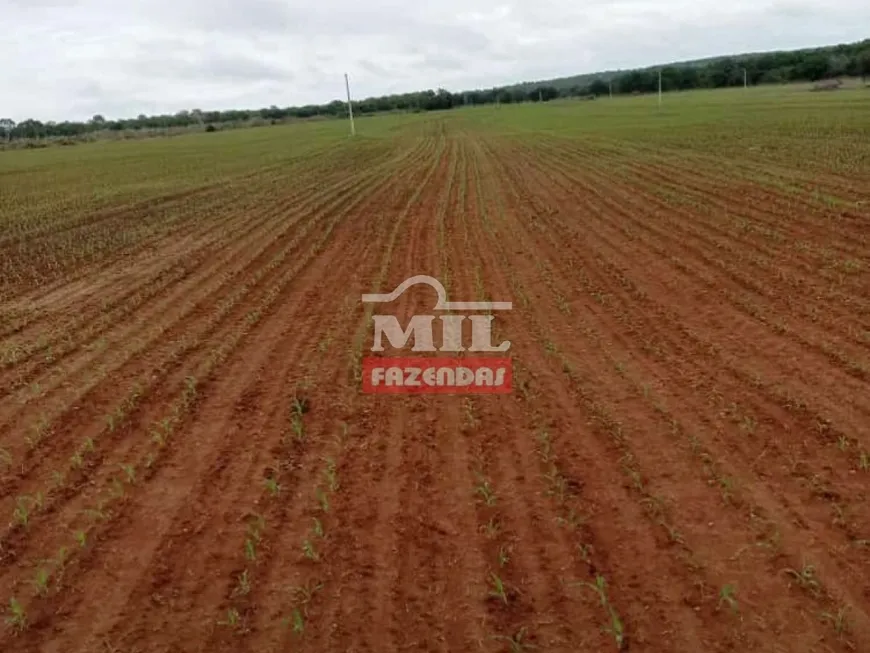 Foto 1 de Fazenda/Sítio à venda, 856m² em Zona Rural, Figueirópolis