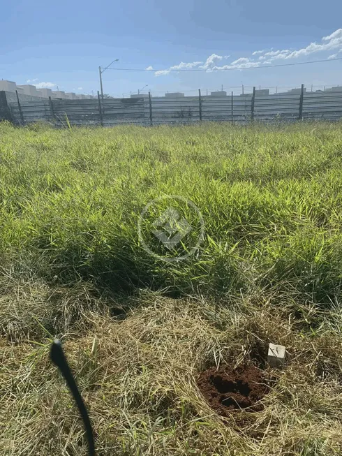 Foto 1 de Lote/Terreno à venda, 247m² em Parque Industrial Avelino Alves Palma, Ribeirão Preto