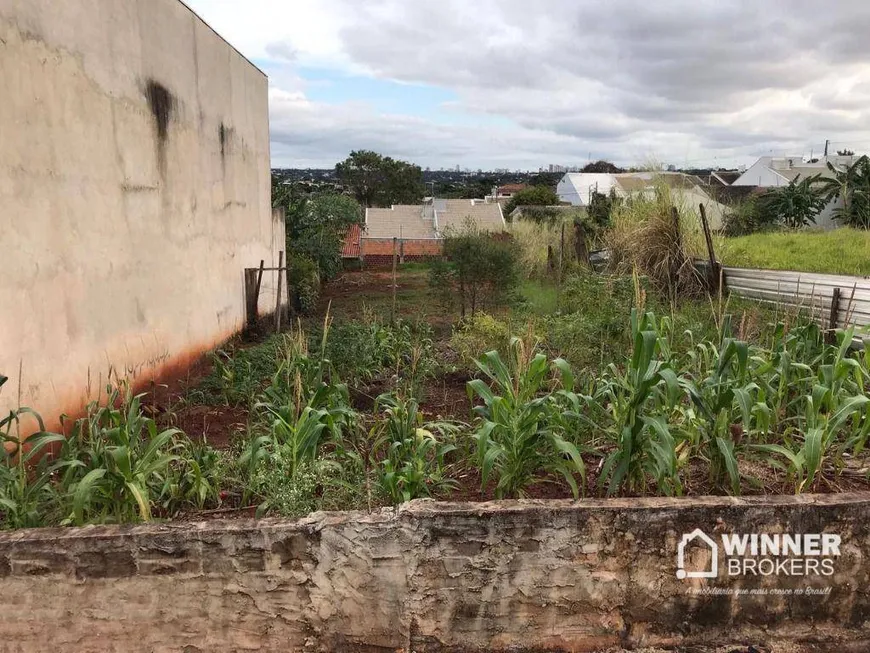 Foto 1 de Lote/Terreno à venda, 500m² em Jardim Andrade, Maringá