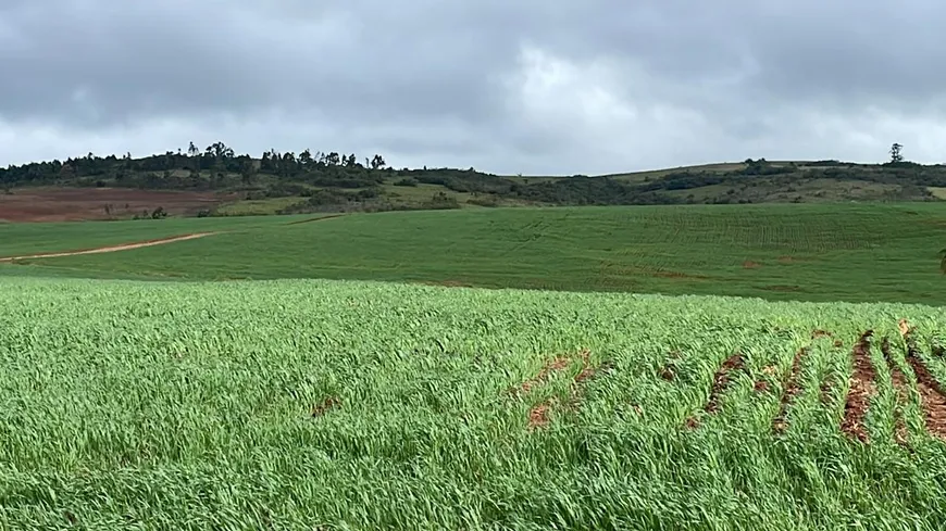 Foto 1 de Imóvel Comercial com 2 Quartos à venda, 3380000m² em Centro, Encruzilhada do Sul