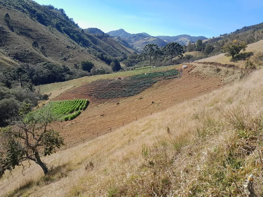 Foto 1 de Fazenda/Sítio à venda, 48000m² em Centro, Marmelópolis