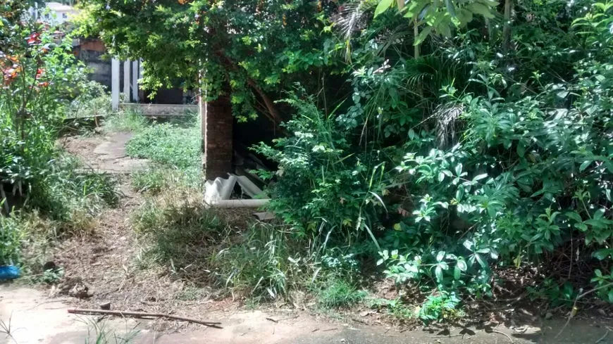 Foto 1 de Lote/Terreno à venda em Palmeiras, Belo Horizonte