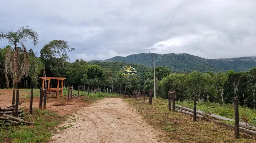 Foto 1 de Fazenda/Sítio com 1 Quarto à venda, 20000m² em São Luiz do Purunã, Balsa Nova