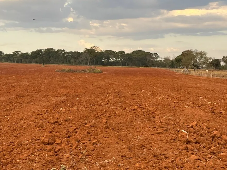 Foto 1 de Fazenda/Sítio com 1 Quarto à venda, 10m² em Zona Rural, Bela Vista de Goiás