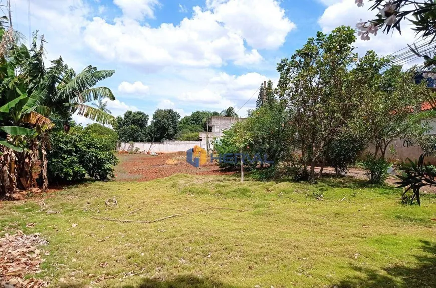 Foto 1 de Lote/Terreno à venda, 980m² em Vila Morangueira, Maringá