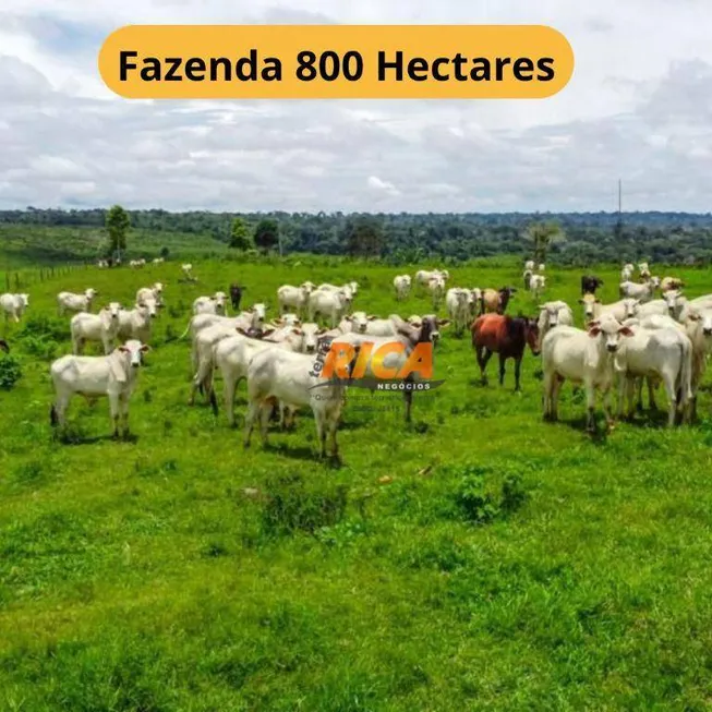 Foto 1 de Fazenda/Sítio à venda, 8000000m² em , Apuí