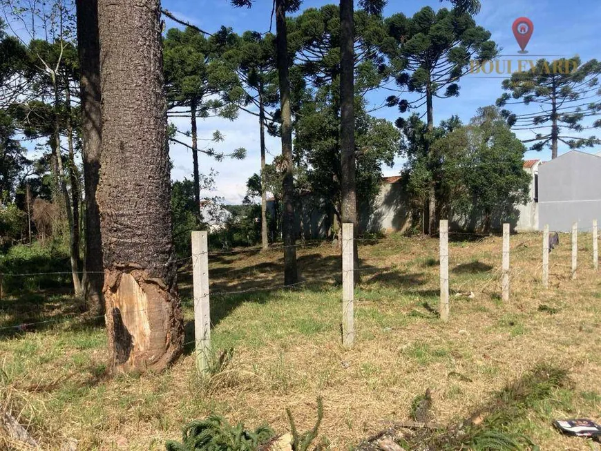 Foto 1 de Lote/Terreno à venda, 2150m² em Gralha Azul, Fazenda Rio Grande