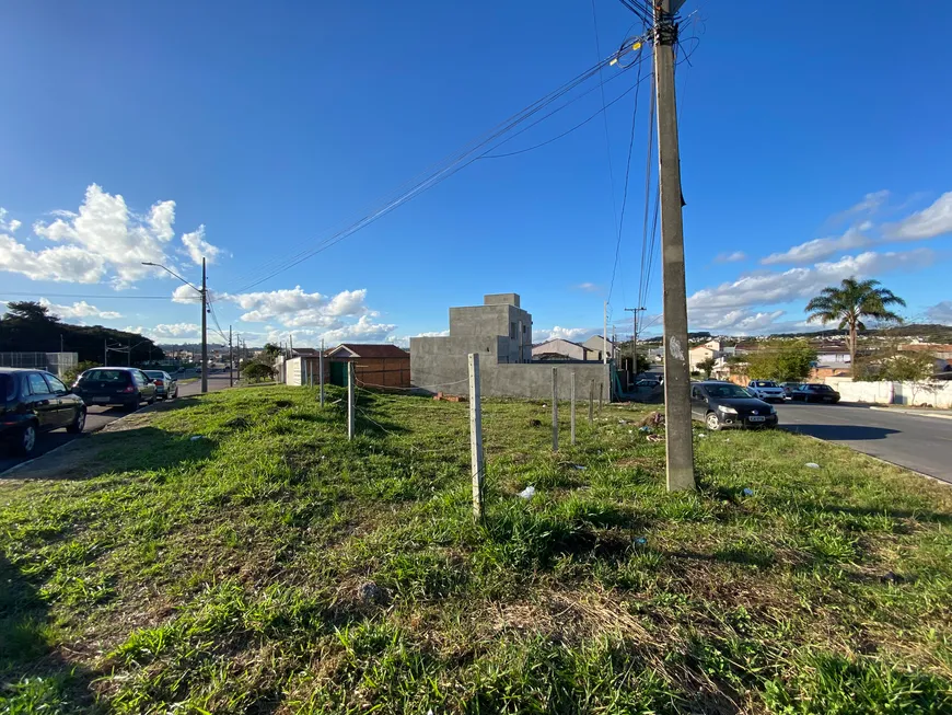 Foto 1 de Lote/Terreno à venda, 177m² em Pineville, Pinhais