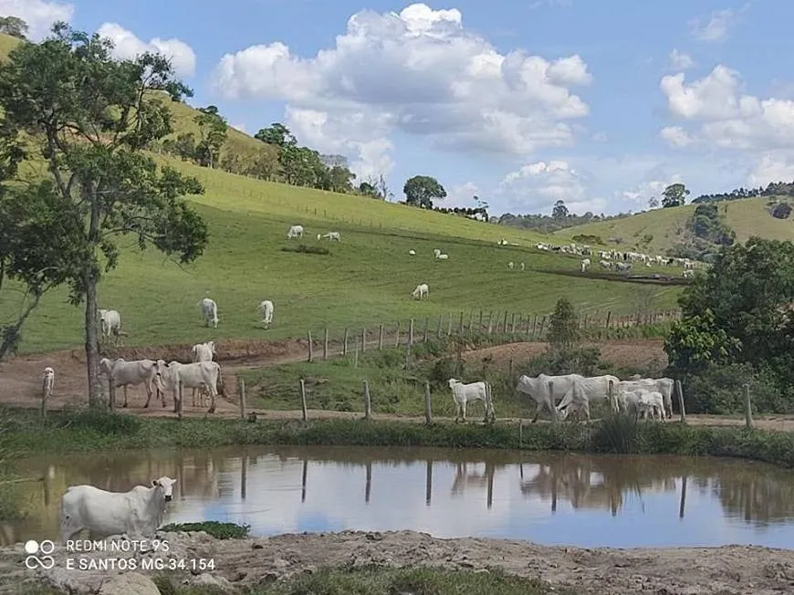 Foto 1 de Fazenda/Sítio com 3 Quartos à venda, 220m² em Zona Rural, Ouro Fino