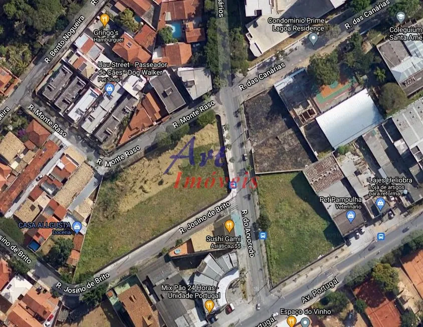 Foto 1 de Lote/Terreno para alugar em Santa Amélia, Belo Horizonte