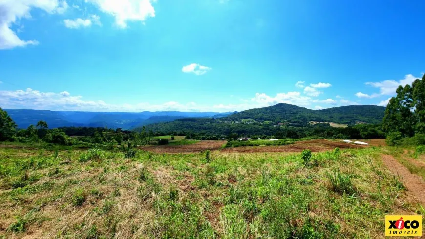 Foto 1 de Fazenda/Sítio à venda, 78826m² em , Nova Petrópolis