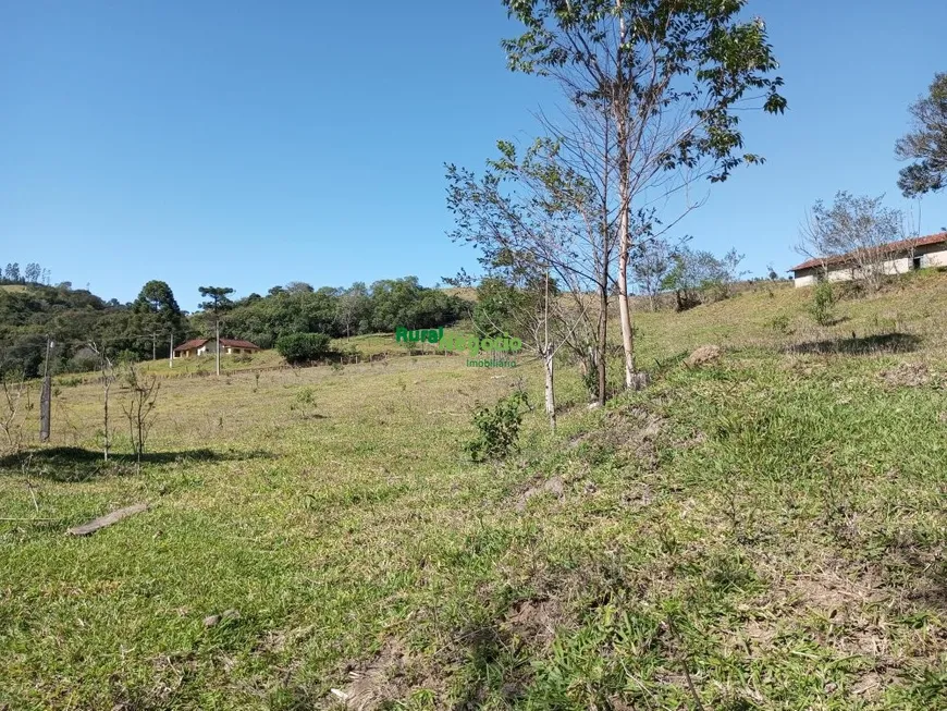 Foto 1 de Fazenda/Sítio à venda, 411400m² em Centro, Silveiras