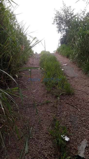 Foto 1 de Lote/Terreno à venda, 13800m² em Dois Córregos, Valinhos