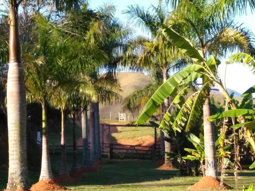 Foto 1 de Fazenda/Sítio com 2 Quartos à venda, 2553500m² em , Silveiras