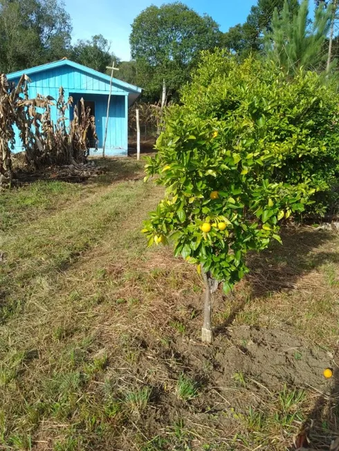 Foto 1 de Fazenda/Sítio com 1 Quarto à venda, 6300m² em Zona Rural, Contenda