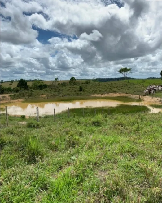 Foto 1 de Fazenda/Sítio com 4 Quartos à venda, 3110184m² em , Mundo Novo