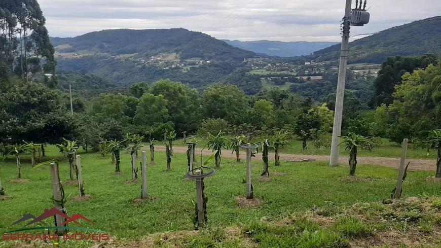 Foto 1 de Fazenda/Sítio com 4 Quartos à venda, 200m² em Linha Imperial, Nova Petrópolis