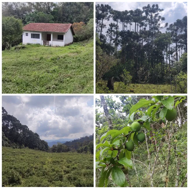 Foto 1 de Fazenda/Sítio à venda, 54700m² em Zona Rural, Marmelópolis