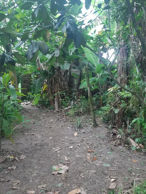 Foto 1 de Lote/Terreno à venda, 250m² em Nossa Senhora do Sion, Itanhaém