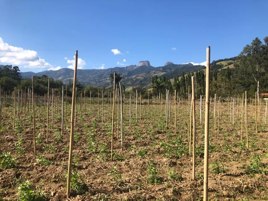 Foto 1 de Lote/Terreno à venda, 12500m² em Centro, São Bento do Sapucaí