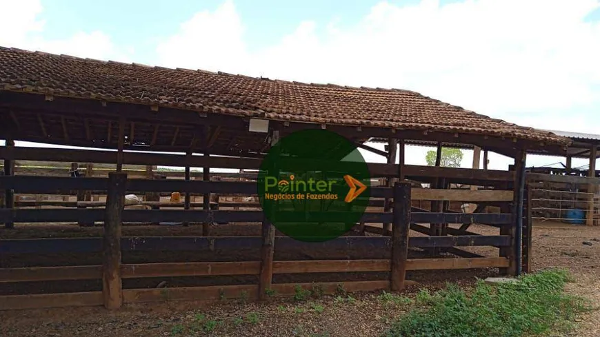 Foto 1 de Fazenda/Sítio à venda, 8228000m² em Zona Rural, Jussara