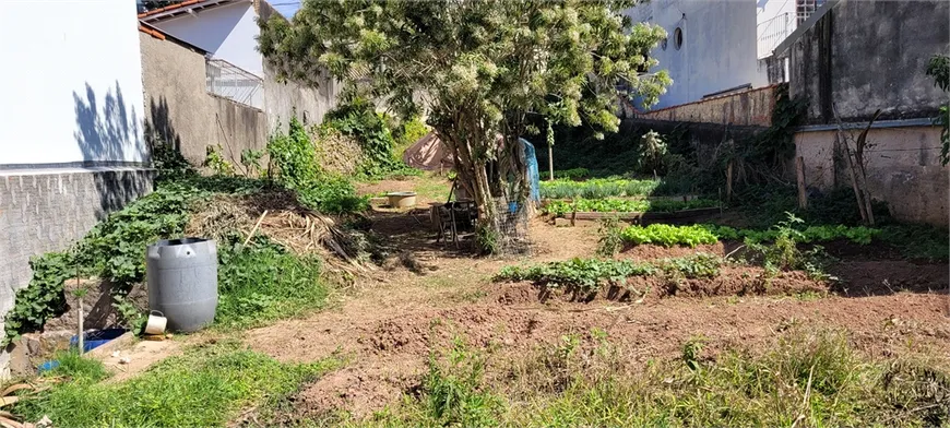 Foto 1 de Lote/Terreno à venda, 480m² em Horto Florestal, São Paulo